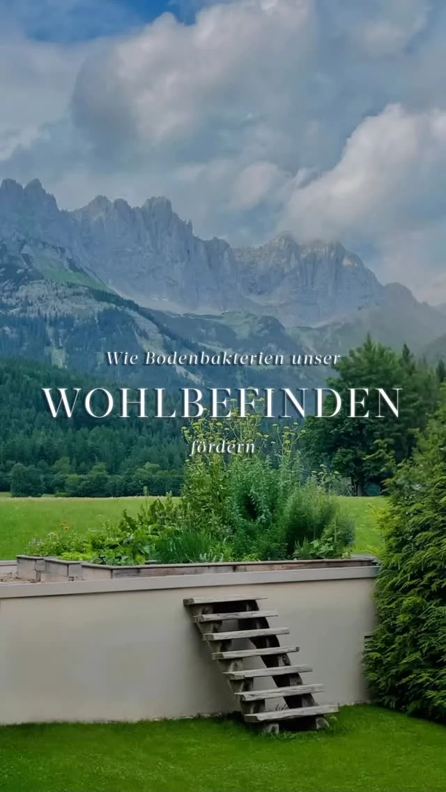 HIGHENERGIZED GARDENING 

Das Mycobacterium vaccae, ein nicht pathogenes Bakterium, das in Böden, insbesondere Waldböden und im Kompost vorkommt, spielt eine zentrale Rolle bei unserem Wohlbefinden. 

Es hat positive Auswirkungen auf das Immunsystem sowie auf unsere geistige Gesundheit.
 
Mycobacterium vaccae macht ein bisschen „high“ und stimuliert die Produktion von Serotonin und Dopamin, die entscheidend für Stimmung, Glück und Kognition sind. 

Es verändert die Immunantwort, fördert nützliche Zytokine und verringert übermäßige Entzündungen. 

Durch die Erhöhung des Serotoninspiegels fungiert es als natürliches Antidepressivum, senkt den Stress, hebt die Stimmung, verbessert die Konzentration und kann Angstzustände reduzieren.
 
Gartenarbeit, Barfußlaufen und Spielen mit Erde sind einfache Möglichkeiten, um mit ihm in Kontakt zu treten. Das erklärt, warum diese Aktivitäten so beruhigend und wohlfühlend wirken.
 
Laut Forschung könnte die Immunisierung mit Umweltbakterien posttraumatische Belastungsstörungen und andere stressbedingte Erkrankungen verhindern. 

Studien belegen, dass Landbewohner seltener unter entzündlichen und psychischen Krankheiten leiden. 

Ob auf dem Land oder im städtischen Garten: Gartenarbeit bietet eine Oase der Ruhe. Beim Wühlen in der Erde trägt das Mycobacterium vaccae unbemerkt zu unserem Gefühl der Gelassenheit und innerem Frieden bei. 
 
Bereits durch das Atmen der Luft im Garten und in der Natur kann man sich mit diesem natürlichen Aufputschmittel anstecken und die Lernleistung steigern.
 
Aktivitäten im Freien würden lernfördernde Bedingungen an Schulen schaffen.
 
Atme das Licht in der Luft – Deine Mel🧚‍♀️
.
.
.
#highenergizedgarden #garten #gartenarbeit #gardening #nature #serotonin #dopamin #gelassenheit #antidepressiva #depressionen #stressmanagement #wilderkaiser #heilkraft #gesundleben #ganzheitlichemedizin #energy #healthylifestyle #selfcare #selbstfürsorge #longevity #highfrequencies #bewusstsein #bewusstleben #bewusstseinsarbeit #achtsamkeit #naturmedizin #melweisweiler #auracology #highenergized #breathethelight