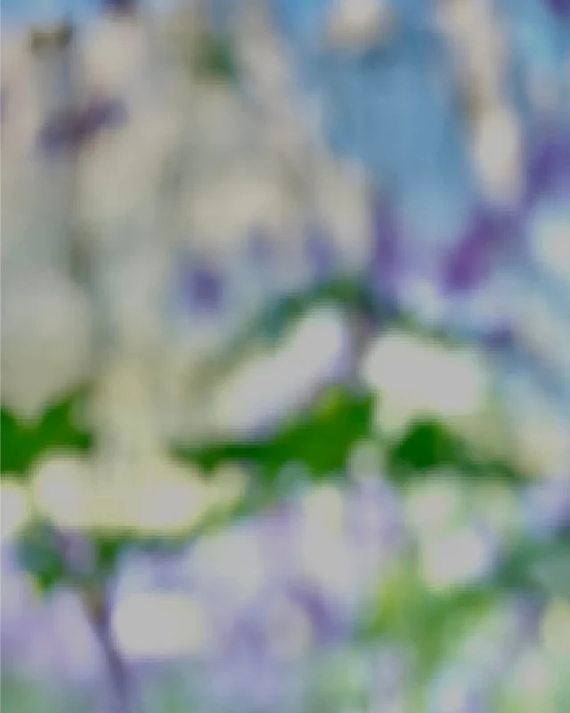 Danke, wenn Du diese Zeilen mit anderen teilst, denen Du dankbar bist. – Deine Mel 🌿
.
.
.
#dankbarkeit #gratitude #thankful #grateful #erntedank #thanksgiving #aura #frequenzen #energie #kohärenz #resilienzstärken #healing #psyche #angst #depression #depressionquotes #antidepressiva #abundancemindset #prosperitymindset #happiness #füllebewusstsein #bewusstsein #achtsamkeit #bewusstleben #energiearbeit #bewusstseinsarbeit #highenergizedcandles #melweisweiler #auracology #highenergized