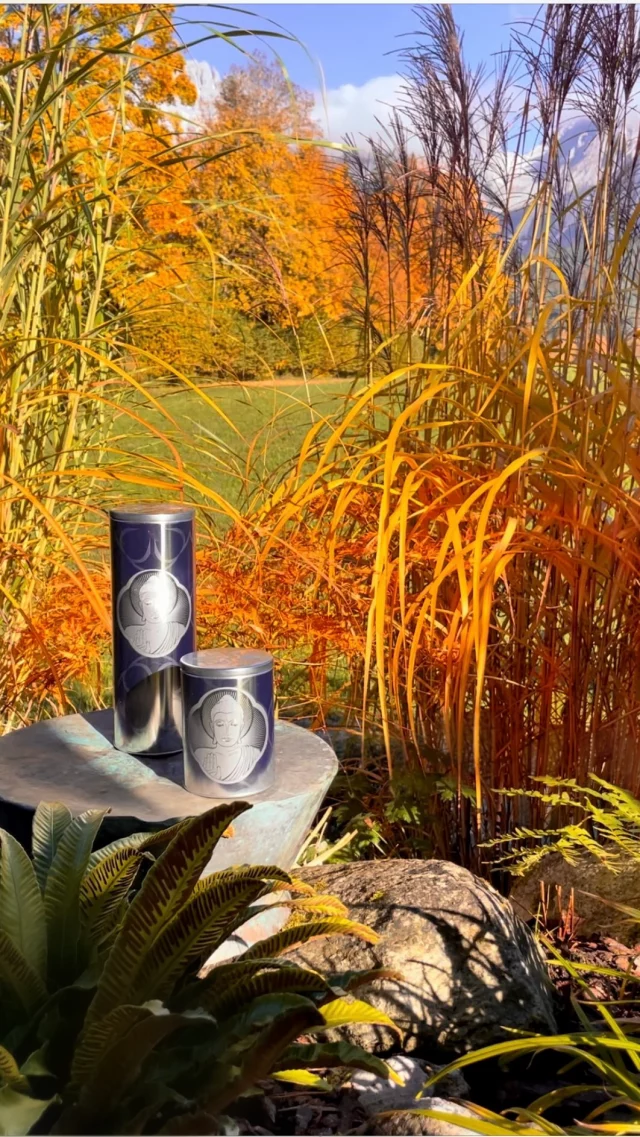 Freiheit – ein Begriff, der oft mit der Möglichkeit gleichgesetzt wird, alles zu tun, was wir wollen. 

Doch wahre Freiheit hat eine tiefere Dimension, die weit über äußere Umstände hinausgeht. 

Es ist ein innerer Zustand, der durch das Loslassen von Programmierungen, Ängsten und Vorstellungen entsteht, die deinen Blick auf dein wahres Selbst verstellen. 

Nur so können wir zu unserer inneren Mitte finden und im Lebensfluss voller Freude wirken.
 
 
Erkenne dein wahres Selbst
 
Frei zu sein bedeutet, der zu sein, der du wirklich bist: deine Aufgaben und Aufträge zu kennen und zu wissen, was dein Lebenszyklus nun für dich vorsieht. 

Es ist ein Zustand des Flusses und der Leichtigkeit – du erkennst die Macht und die Liebe in dir. Du agierst aus deinem Herzen heraus und bist frei von falschen Vorstellungen, was dir Klarheit in Gedanken, Worten und Taten bringt.
 
Echte Freiheit ist nicht Tun und Lassen, was immer du willst, sondern das Leben im Einklang mit deinem umfassenden Wesen. 

Nur durch die Anbindung an dein Selbst wird wahre Freiheit spürbar. 

Es ist wichtig, die Täuschung des Egos zu durchschauen, das dich glauben lässt, Freiheit sei nur die Erfüllung oberflächlicher Wünsche und Vorstellungen.
 
Befreie dich von allem, was dir im Weg steht, um dein wahres Selbst zu erkennen und in die Erfahrung der Freiheit einzutauchen. 

Freiheit wird nicht erkämpft – sie geschieht durch das Loslassen. 
 
MO CHAO lässt das Licht deiner inneren Freiheit leuchten und befreit dich von falschen Vorstellungen, um dein wahres Selbst zu erkennen.
.
.
.
#mochao #freiheit #befreiung #loslassen #imfluss #leichtigkeit #wahrheit #inneremitte #veränderung #wachstum #erfüllung #bewusstsein #gesundheit #herzöffnung #bewusstleben #selbsterkenntnis #energiearbeit #energycandle #homedecoration #duftkerzen #scentedcandles #melweisweiler #auracology #highenergized #breathethelight